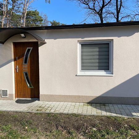 Domki Przy Obrze Skwierzyna エクステリア 写真