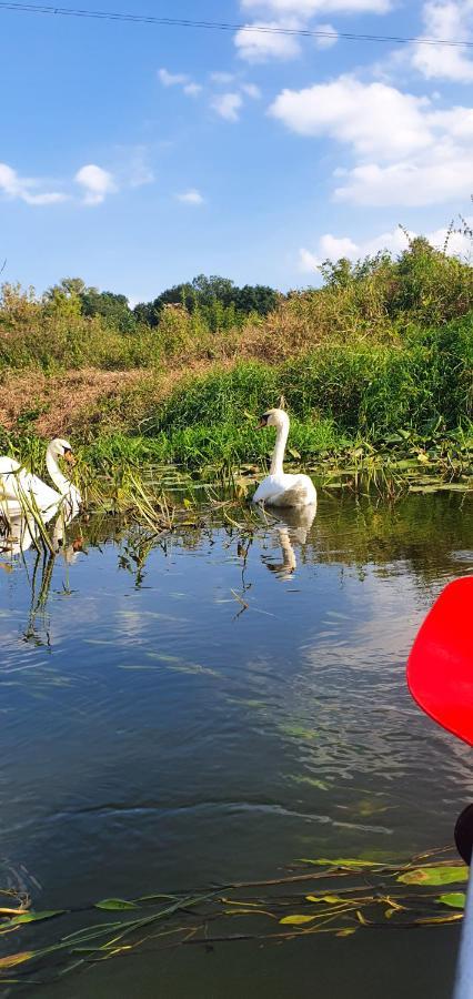 Domki Przy Obrze Skwierzyna エクステリア 写真